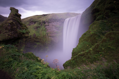 Pashatorunu